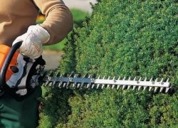 Afbeelding voor categorie Heggenscharen